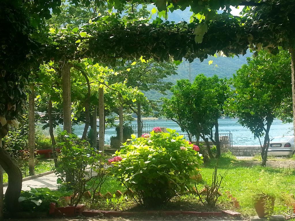 Apartments Vido โกตอร์ ห้อง รูปภาพ